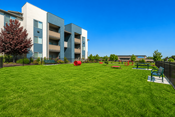 Dog park with pet amenities and play equipment